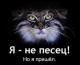 Аватар для Chizhik