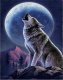   WHITE WOLF